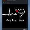 husnain.jhangir