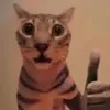 しずか