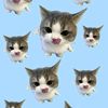 kil__40