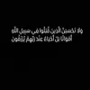 amirhamdani35