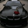 bmw_xestesi844