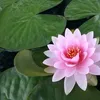 nguyen.minh.thnh8
