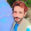 gillani5955