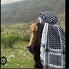 khan_zadi682