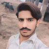 shabazmalik3132