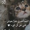 tota.nsr.el.din