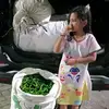 bunda.kinanti39
