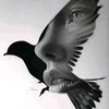 yhellow214