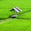faisal.zeerak7
