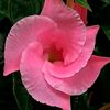 fareed.ahmed902