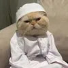 toba._.kurd