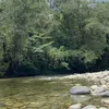 aloncho31