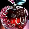 raheelkhanraheelk213