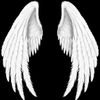 user585851510
