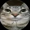 zenithzing6