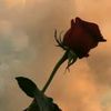 user5196286212837