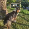 camille.amlie