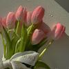 tulips__64