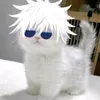 jay_onn_top