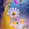 itsmerahmat1020gmil.com