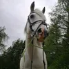 thealwaysbehating