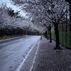 sajith.gunawardhn2