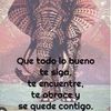 elizabethgonzalez283