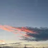 theaustrianguy10