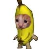 theyfwsiddiqa