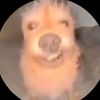 giggle_shitter0