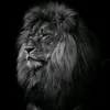 abdullah006.com3