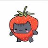 max._rocks14