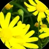 user84019540152404