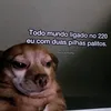 carolina66650