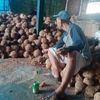 mustika.kelapa5