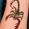 ✯گناہگار✪ وزیر✯