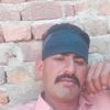 palwan225