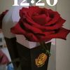 hanan40_8