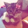 rara_22161