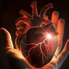shararati_hun_yarr0316