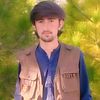 muhammad.hadi6737