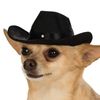 soycowboy8