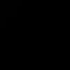 ari_ana702