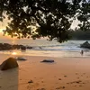 avo_ban
