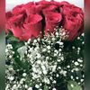 nonah7374