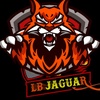 jaguar_1st