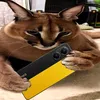 samsungus24