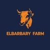 nour_elbarbary1