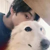 chiibuyaa