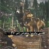 hassan.alrujabi